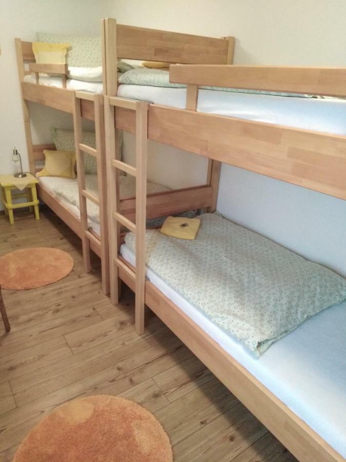 Ubytovani - U Nas Doma Orličky エクステリア 写真