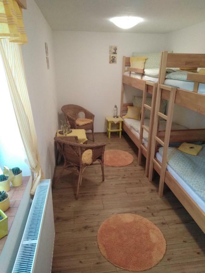 Ubytovani - U Nas Doma Orličky エクステリア 写真
